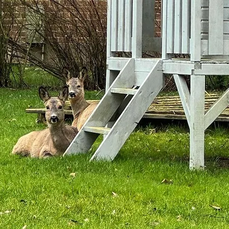 Lejlighed Voss 11 Staberdorf