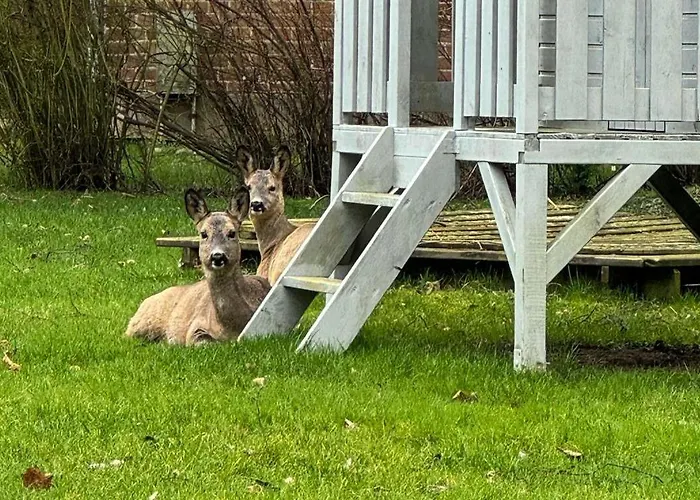 Apartamento Voss 11 Staberdorf